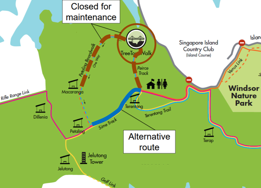 NPark Closes The MacRitchie TreeTop Walk Peirce Track And Part Of   MacRitche Closes Several Path For Maintenance 2020 1 