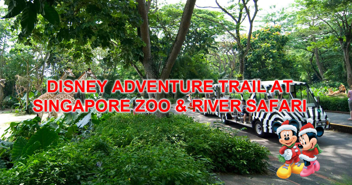 Singapore residents enjoy 50% OFF Singapore Zoo & River Safari Disney Adventure Trail