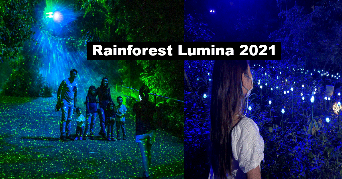 Rainforest Lumina returns with its FINAL season, lighting up the wild