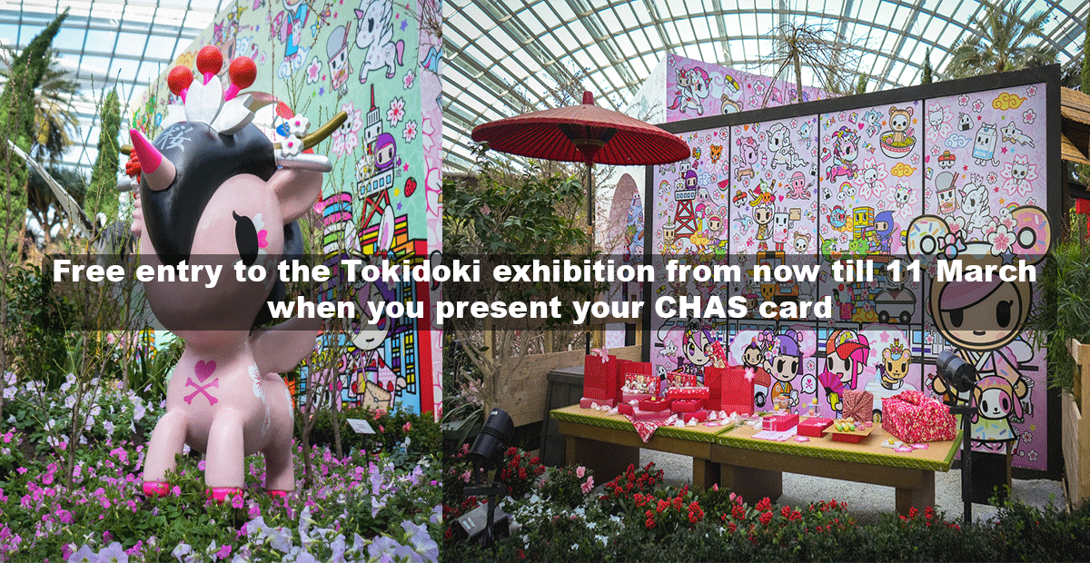 Enjoy FREE admission to the new Tokidoki exhibition at Flower Dome when you present your CHAS card