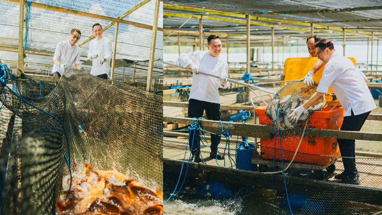 Kelong to Table seafood buffet at CLOVE Swissôtel The Stamford
